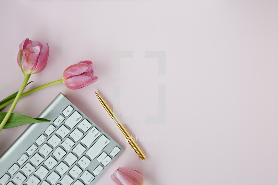pink tulips on a light pink background and computer keyboard 