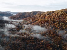 aerial view over a fall forest  