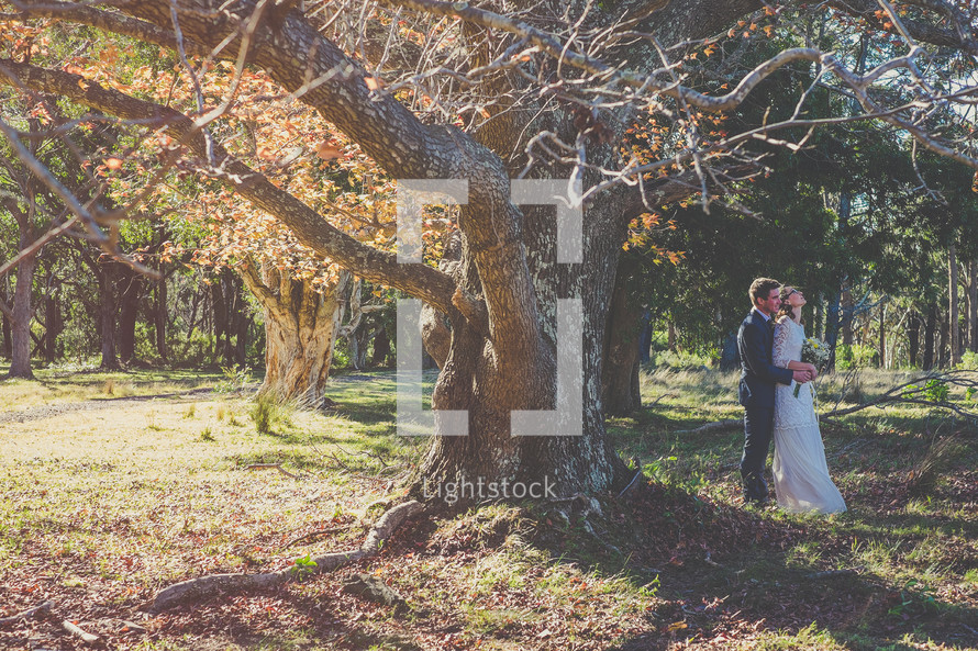 A bride and groom embrace under a tree.