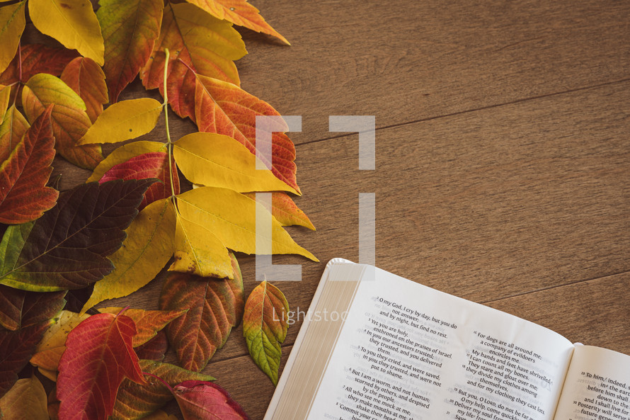 Open bible with a border of autumn leaves on a wood background with copy space