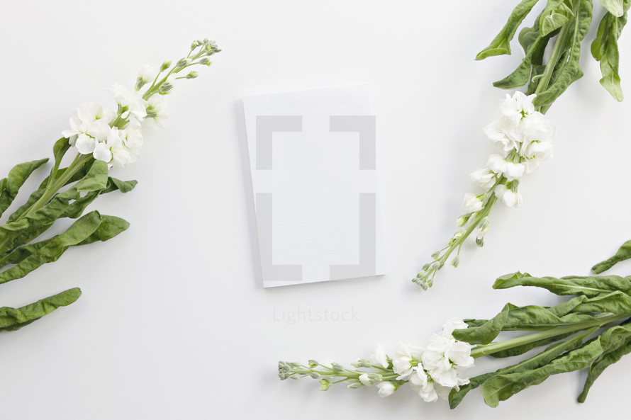 paper and white flowers on a white background 