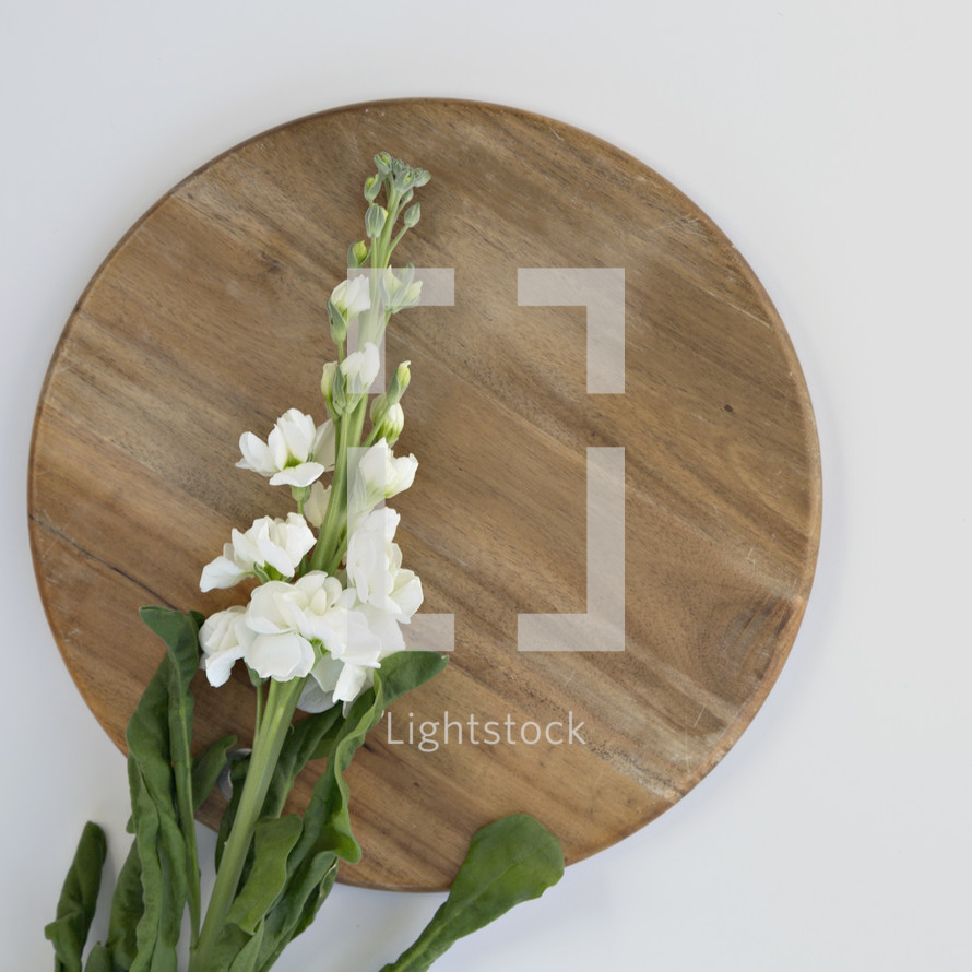 white flowers on a cutting board against a white background 