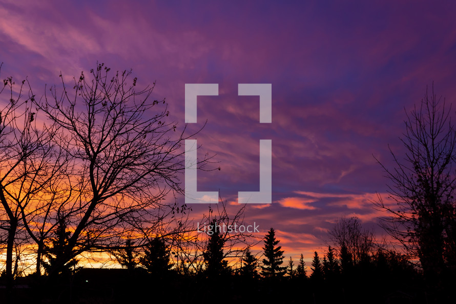 prairie sunset under a purple sky 