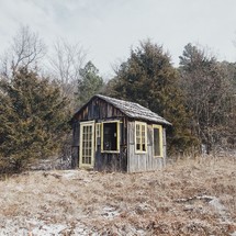 abandoned shed 