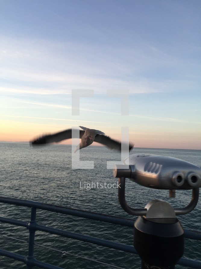 view finder and sea gull flying over a boat 