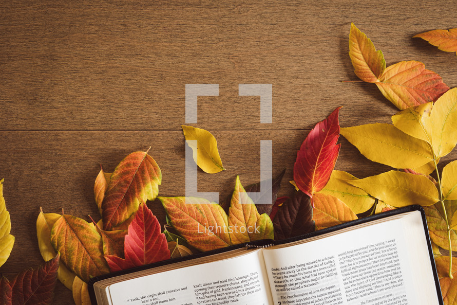 Open bible with a border of autumn leaves on a wood background with copy space
