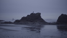 a man standing on a rock peak on a beach 
