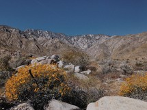 desert mountains 