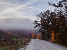 fog over a rural dirt road in fall 