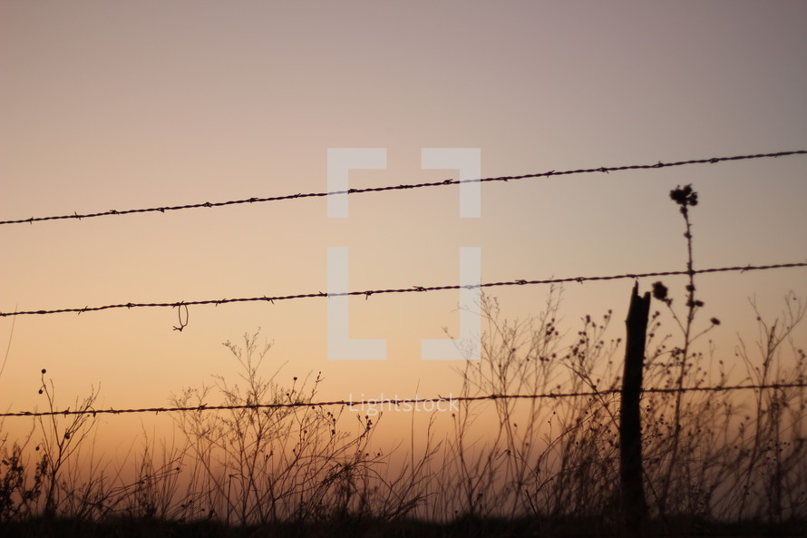 barbed wire fence at sunset 