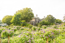 Garden at elegant historic mansion