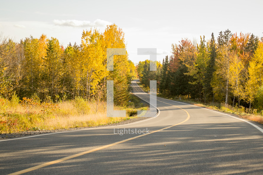 country road and autumn foliage 