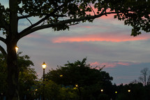 Sunset in the park with trees and lamps