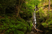 Silverthread Waterfall surrounded by greenery