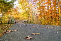 a bridge and path outdoors in fall 