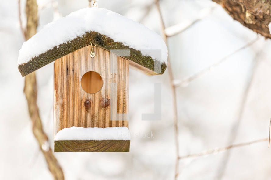Closeup of empty bird house in snow