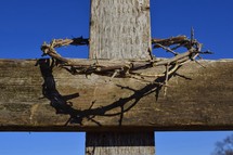 crown of thorns on a cross 