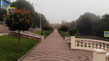 Aerial perspective of walking on a path in the park with fog