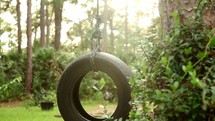 tire swing hanging from a tree