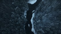 Top down view of a forest during winter