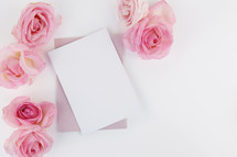 stationary and pink roses on white 