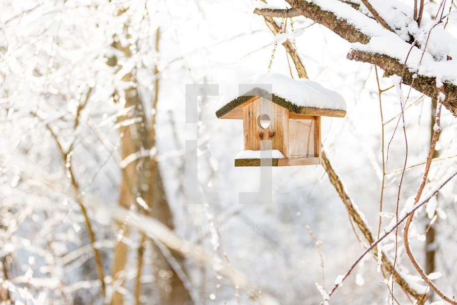 Wooden bird house in snowy winter
