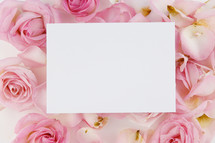 white paper on pink roses 
