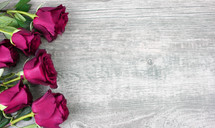 roses on a wood background 