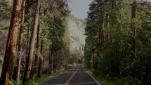 Road through Yosemite Valley