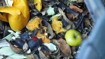 food in a compost bin 