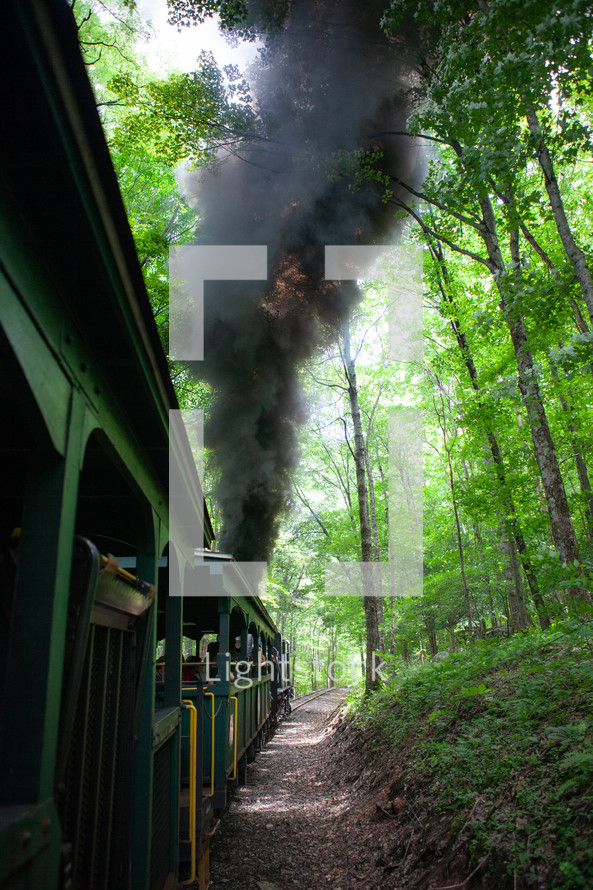 Smoky locomotive with passengers on scenic railway through forest