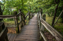 wooden boardwalk in a forest park 
