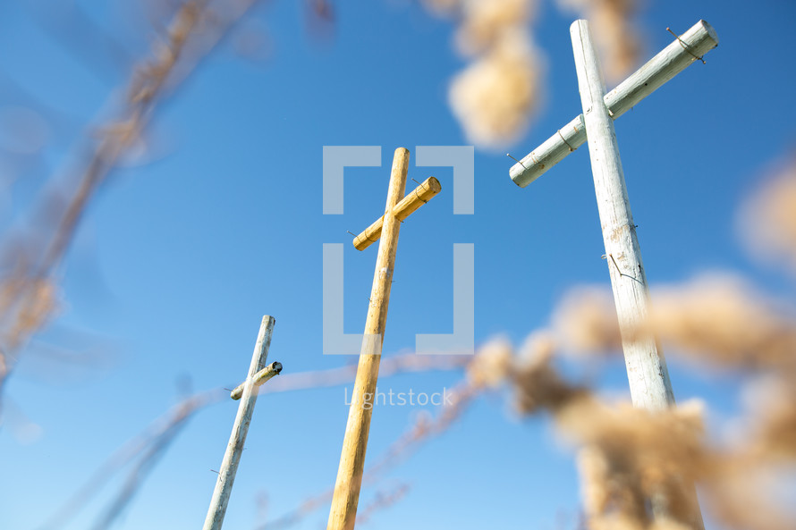 Upward view of three wooden crosses with nails in garden 