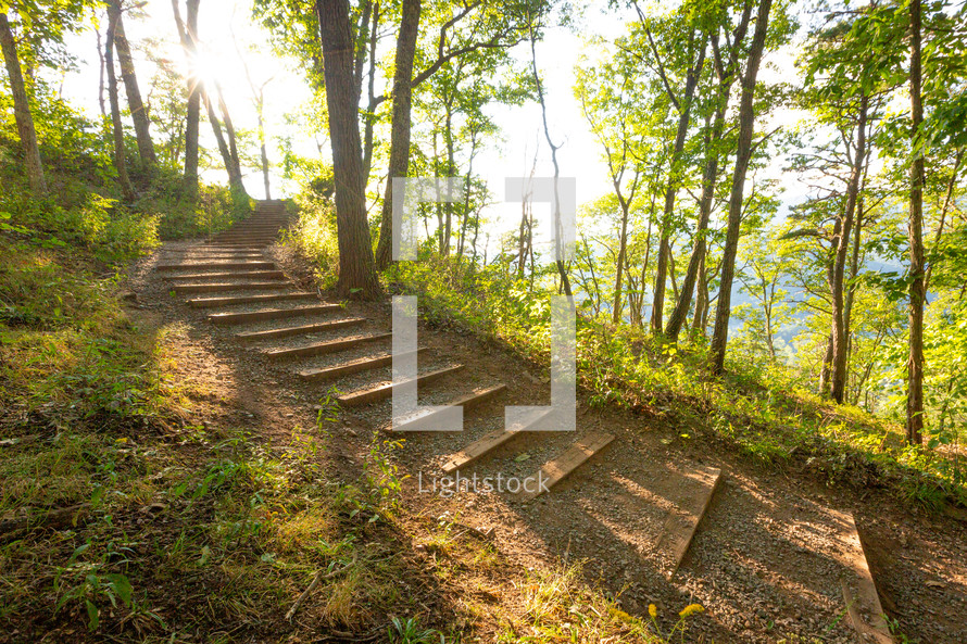 Wooden steps at an incline through forest