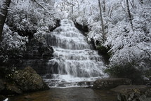 waterfall in a forest in winter