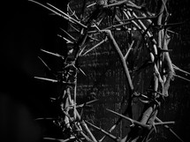 crown of thorns in black and white