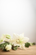 White Easter lilies