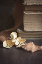 Tan flowers and the Bible with strip of fabric