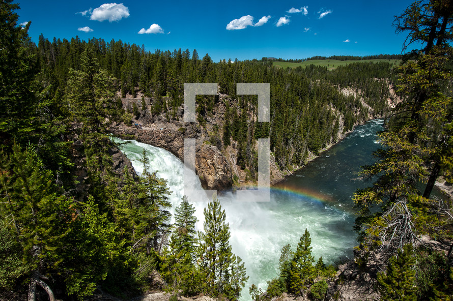Lower falls of Yellowstone with a rainbow.