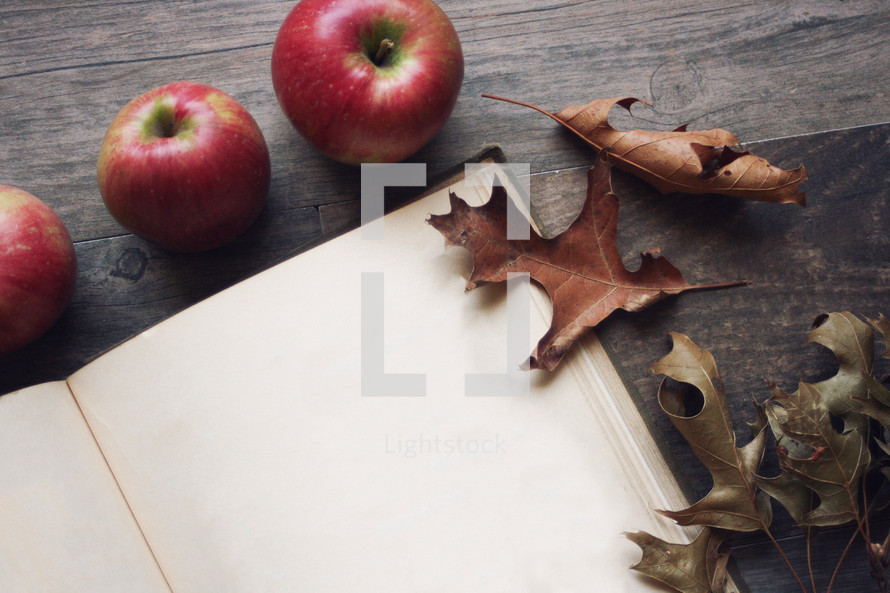 blank pages of a journal with apples and fall leaves 
