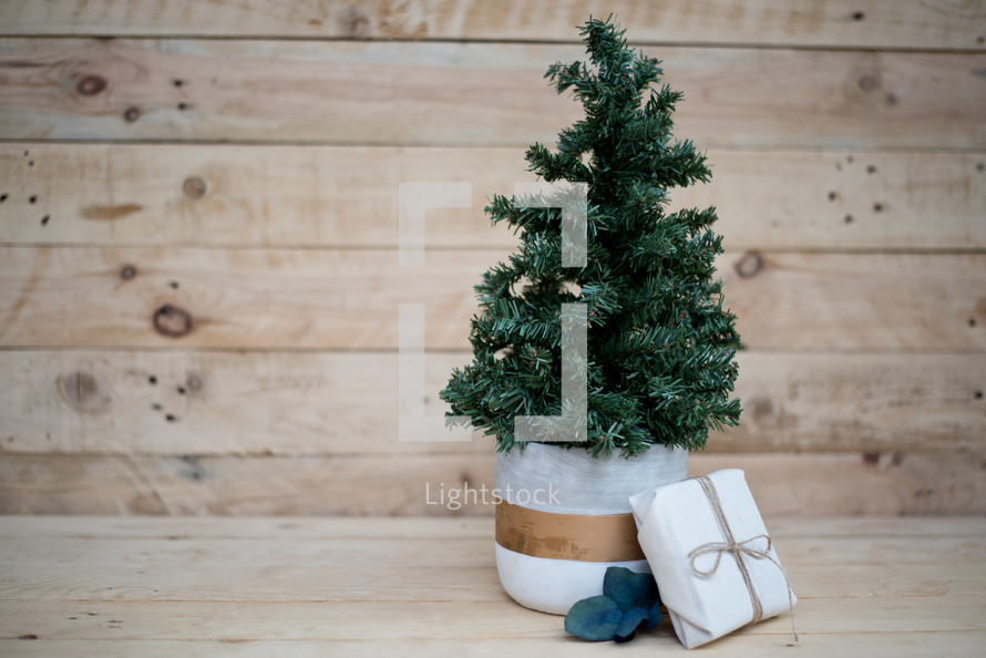 small Christmas tree and wrapped gift 