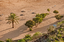 beach in Teneriffa, Spain 