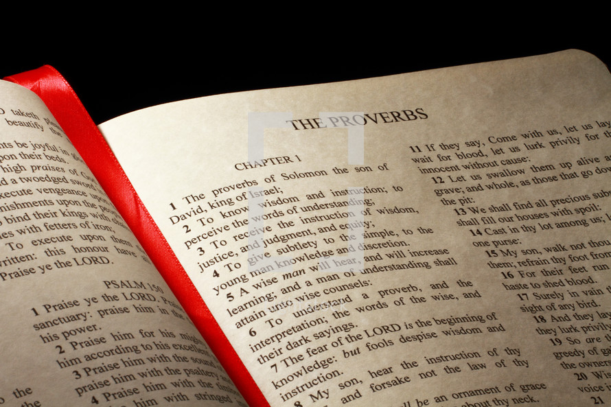 Open Bible in the book of Proverbs