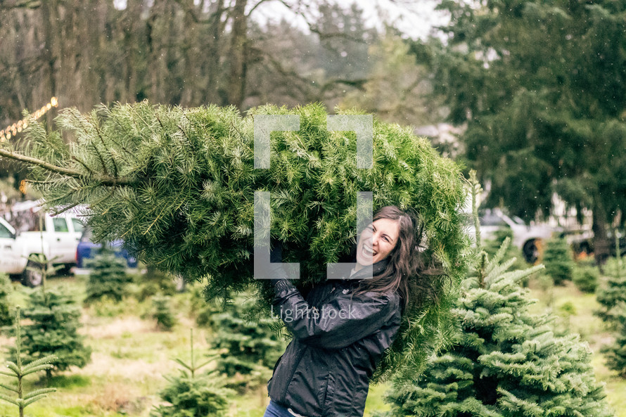 picking out a Christmas tree