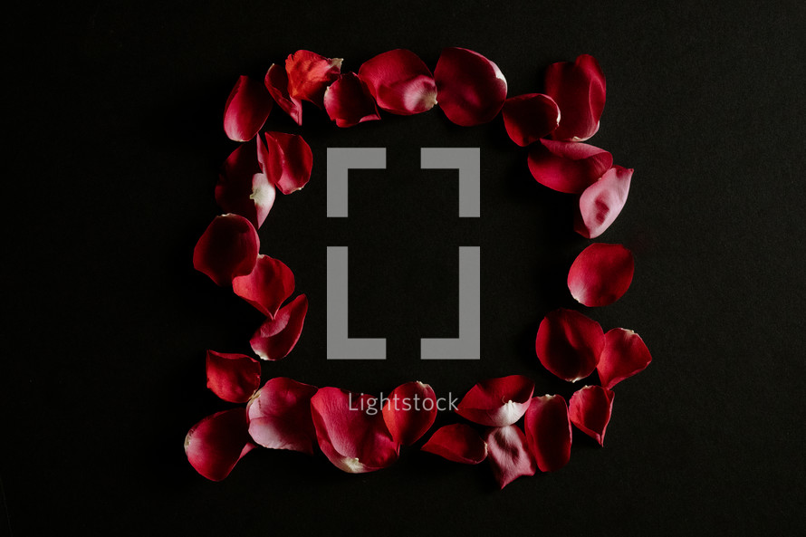 Red rose petals in a square on a black background.