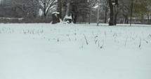 Slow motion snow flakes fall covering ground in small town in the United States in cinematic slow motion.