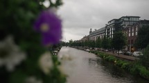 Ducks On Canal Water On Cloudy Day In Amsterdam City, Netherlands. sliding reveal