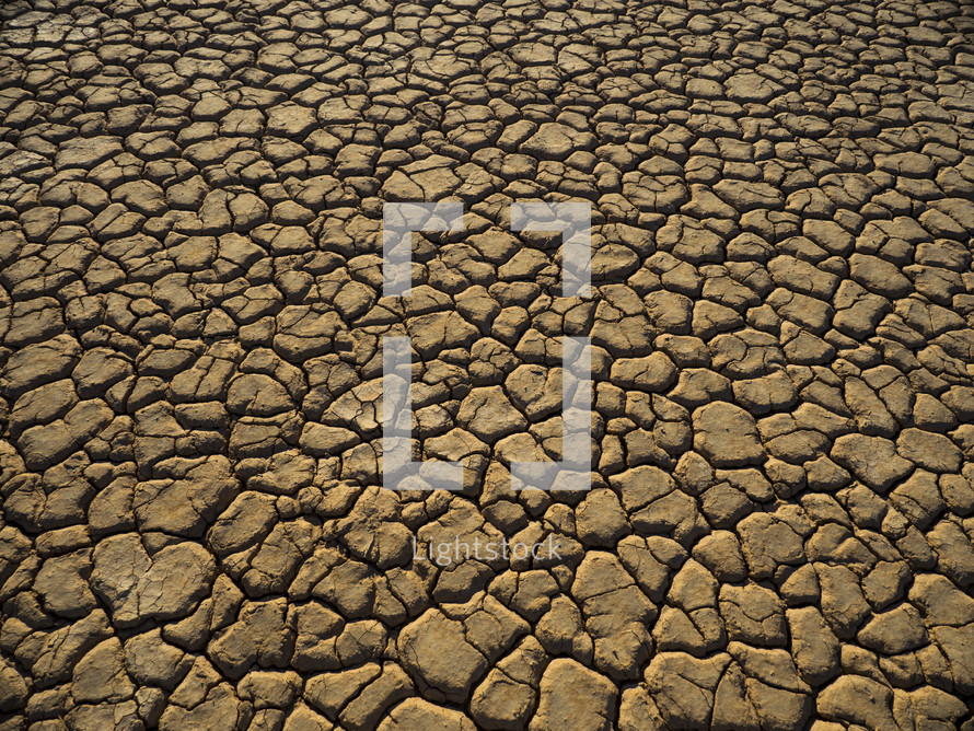 Dry cracked soil during a drought