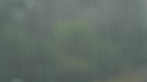 Heavy Rain Falling With Blur Background