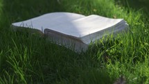 a Bible in grass 